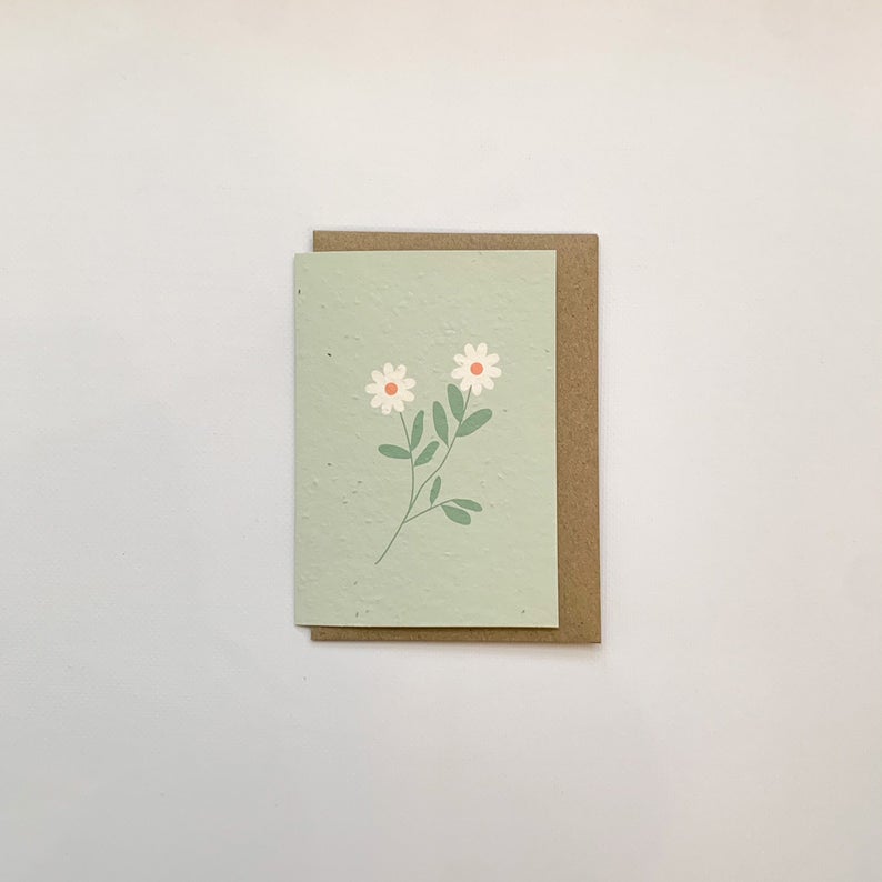 Plantable Cards - Green Daisies