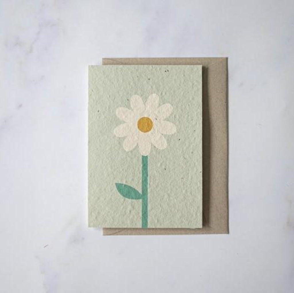 Plantable Cards - Daisy